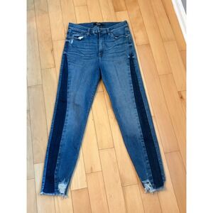 Hudson Holly Skinny Jeans Womens 29 Blue Two Tone Tuxedo Stripe Distressed Hem